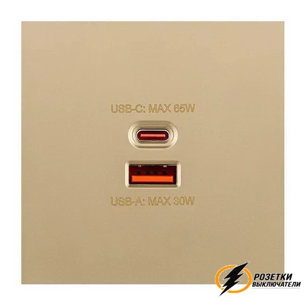 Накладка зарядки USB A+C 65Вт Brionilux Z золото матовое