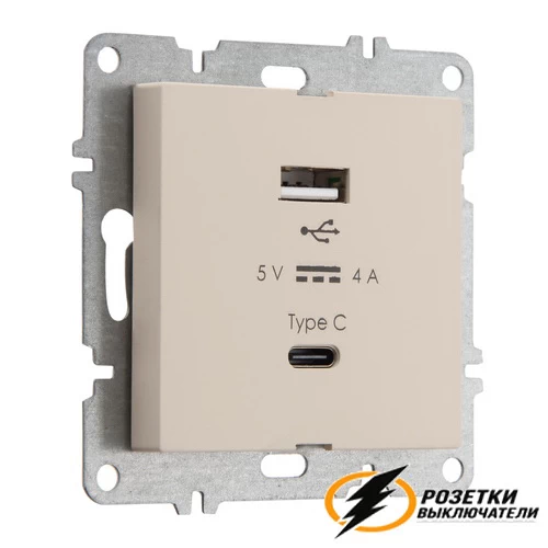 Зарядка USB 2 порта А+C 4000mA 20В Arvia карамель