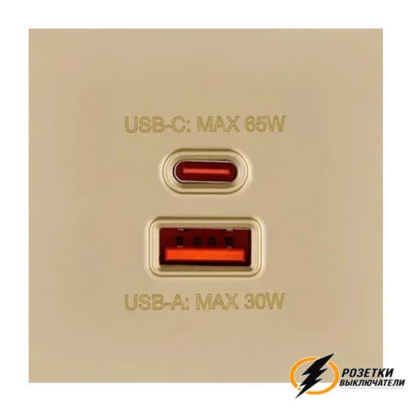 Накладка зарядки USB A+C 65Вт Brionilux G золото матовое
