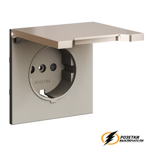 Розетка с крышкой ip40 16а 250в Voltum S70 Metal платина VLSM000810+VLS0401M