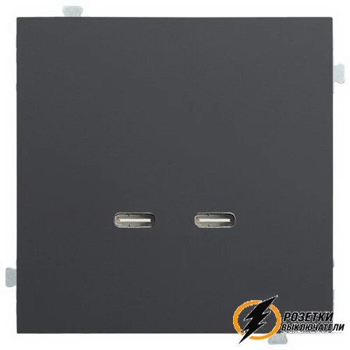 Зарядка USB 2 порта C+C 60Вт Rikett черный сатин
