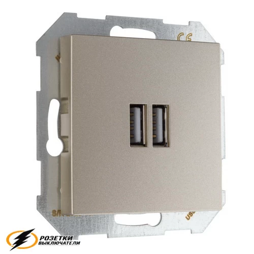 Зарядка USB 2 порта А+A 3,4mA Liregus Epsilon-Retro шампань