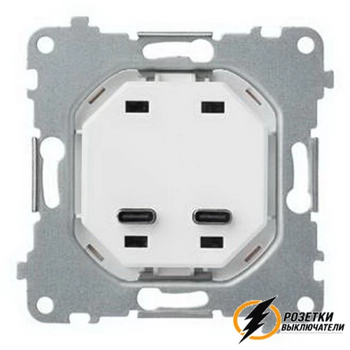 Зарядка USB 2 порта C+C 60Вт Rikett белый сатин