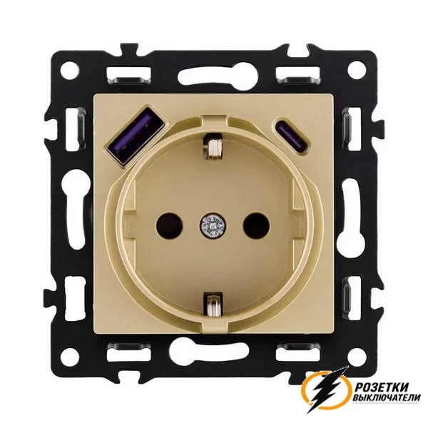 Розетка с USB зарядкой 2 порта А+C 2400mA Brionilux G золото матовое