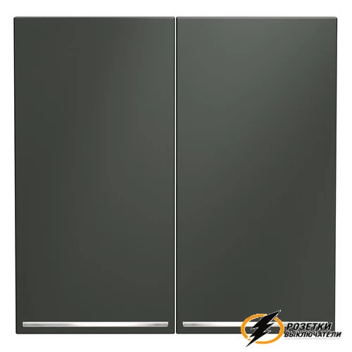 Накладка выключателя двухклавишного с подсветкой Voltum S70 титан VLS000405