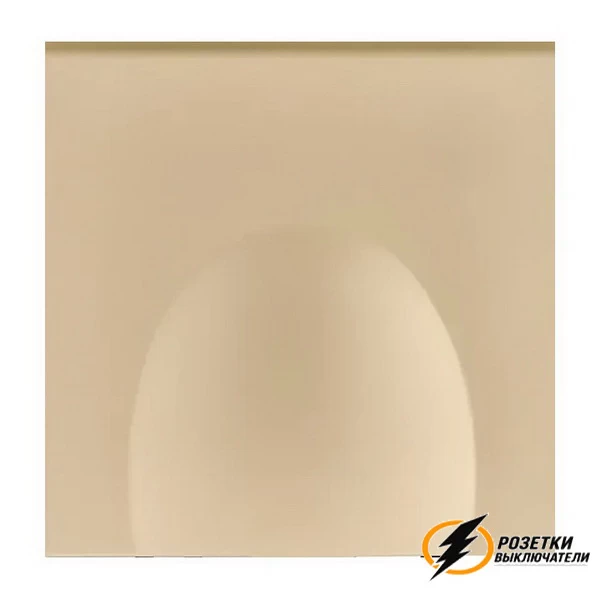 Накладка розетки 220Вт с крышкой Brionilux Z золото матовое