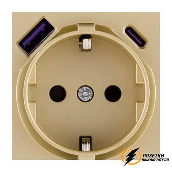 Накладка розетки USB A+C 20W Brionilux G золото матовое