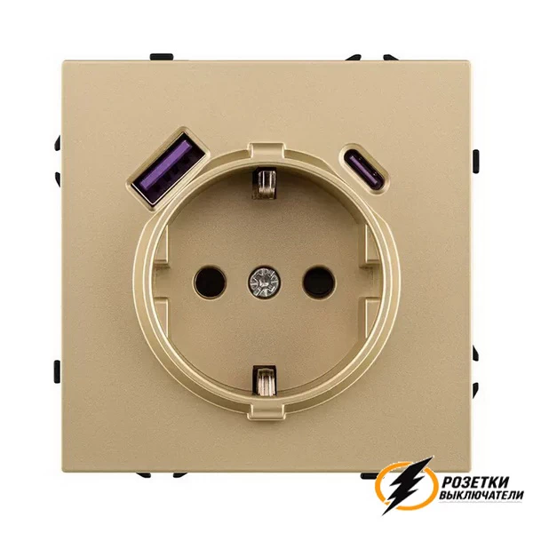 Розетка с USB зарядкой 2 порта А+C 2400mA Brionilux Z золото матовое