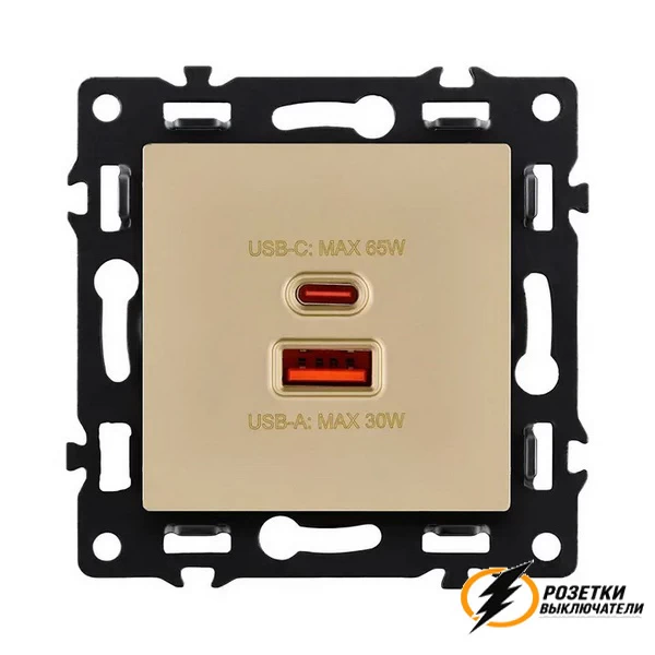 Зарядка USB 2 порта А+C 6000mA 65Вт Brionilux G золото матовое