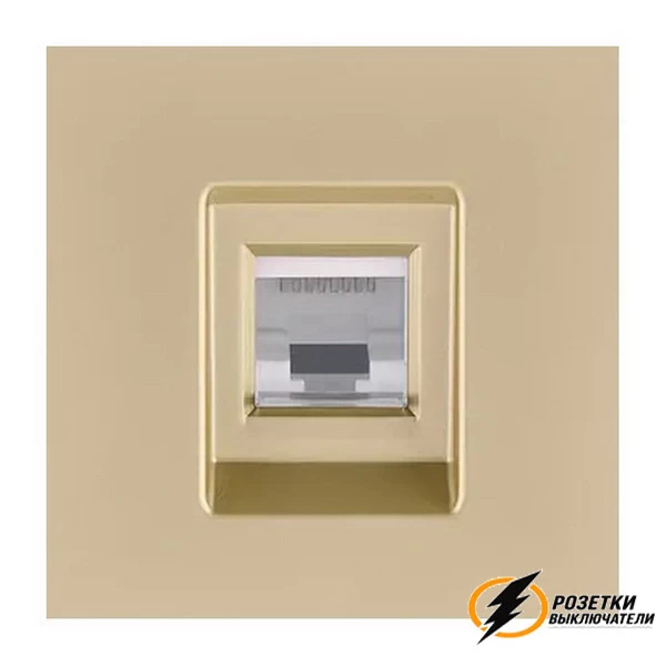 Накладка компьютерной розетка Brionilux G золото матовое
