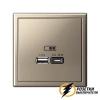 Зарядка USB 2 порта тип А-С 3000 mA ArtGallery шампань