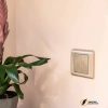 Рамка пластиковая 1 местная Stream шампань рифленая