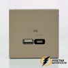 Зарядка USB 2 порта тип А-С 3000 mA ArtGallery шампань