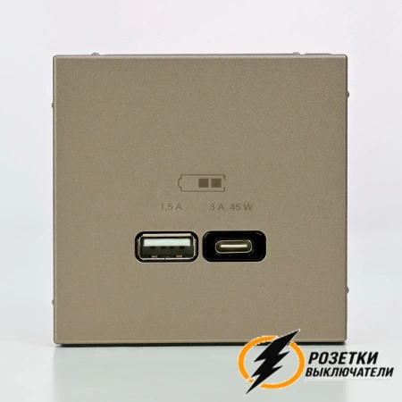Зарядка USB 2 порта тип А-С 3000 mA ArtGallery шампань