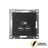 Зарядка USB 2 порта А+A 2,1 mA AtlasDesign карбон
