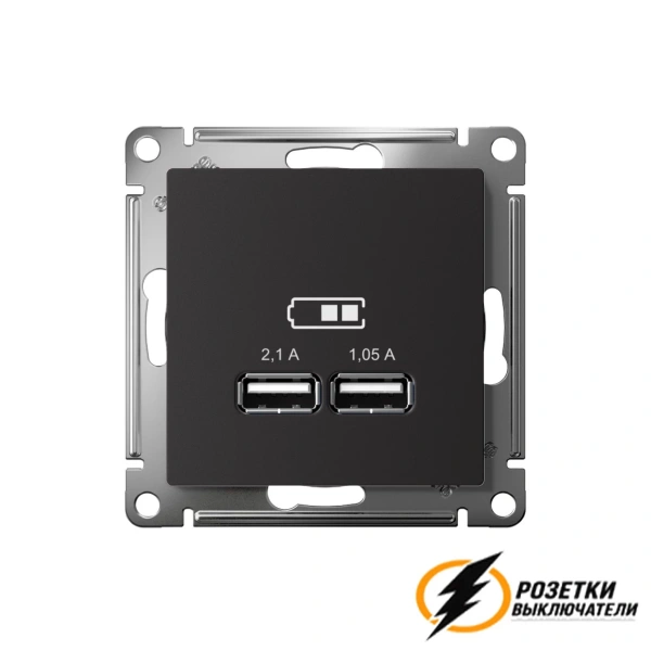 Зарядка USB 2 порта А+A 2,1 mA AtlasDesign карбон