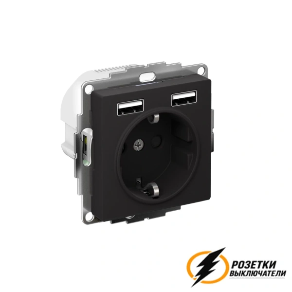 Розетка с USB зарядкой 2 порта А+A 2,4 mA AtlasDesign карбон