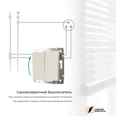 Звонковый выключатель двухклавишный НО Werkel слоновая кость