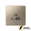 Зарядка USB 2 порта тип А-С 3000 mA ArtGallery шампань