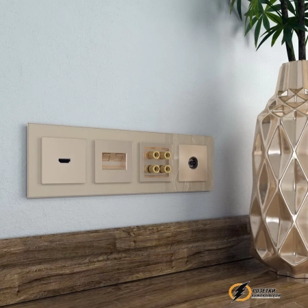Накладка для двойной розетки Еthernet RJ-45 Werkel шампань