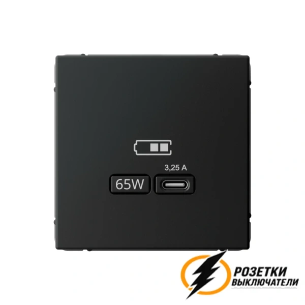Зарядка USB 1 порта тип С 3250 mA ArtGallery карбон