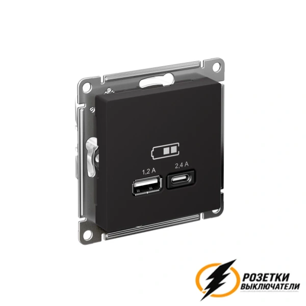 Зарядка USB 2 порта А+C 2,4 mA AtlasDesign карбон