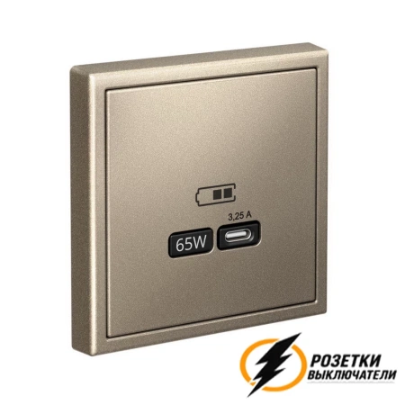 Зарядка USB 1 порта тип С 3250 mA ArtGallery шампань