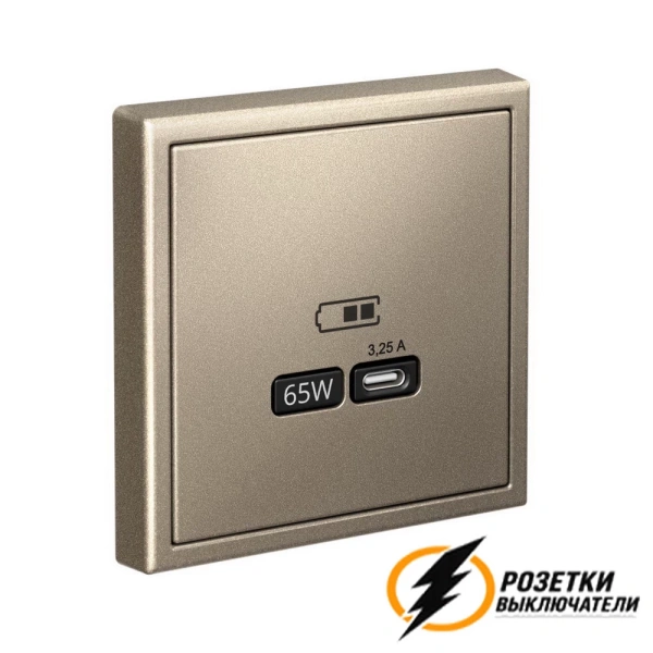 Зарядка USB 1 порта тип С 3250 mA ArtGallery шампань