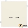 Зарядка USB 2 порта C+C 60Вт Rikett кремовый сатин