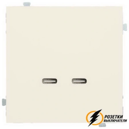 Зарядка USB 2 порта C+C 60Вт Rikett кремовый сатин