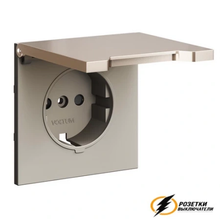 Розетка с крышкой ip40 16а 250в Voltum S70 Metal платина VLSM000810+VLS0401M