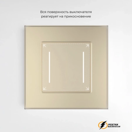 Сенсорный выключатель двухклавишный с подсветкой Werkel шампань