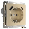 Розетка с USB зарядкой 2 порта А+C 3,0 mA Werkel шампань рифленая