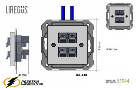 Аудио розетка на 1 колонку Liregus Epsilon-Retro алюминий