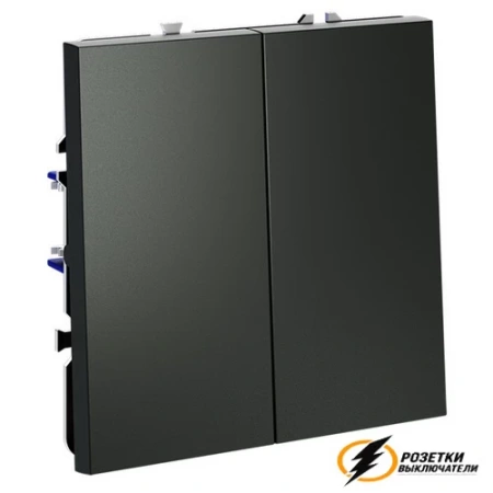 Звонковый выключатель двухклавишный НО Voltum S70 титан VLS020605