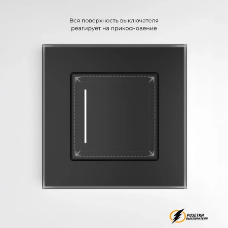 Сенсорный выключатель одноклавишный с подсветкой Werkel черный