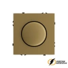 Диммер поворотнй LED 5-150Вт, 5-500Вт Brionilux Z золото матовый