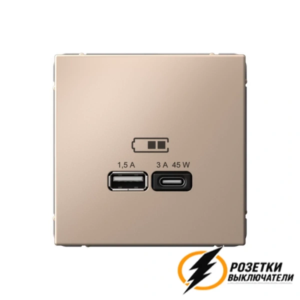 Зарядка USB 2 порта тип А-С 3000 mA ArtGallery песочный