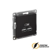 Зарядка USB 2 порта А+A 2,1 mA AtlasDesign карбон