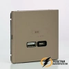 Зарядка USB 2 порта тип А-С 3000 mA ArtGallery шампань