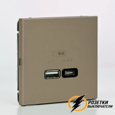 Зарядка USB 2 порта тип А-С 3000 mA ArtGallery шампань