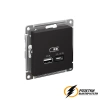 Зарядка USB 2 порта А+C 3,0 mA AtlasDesign карбон