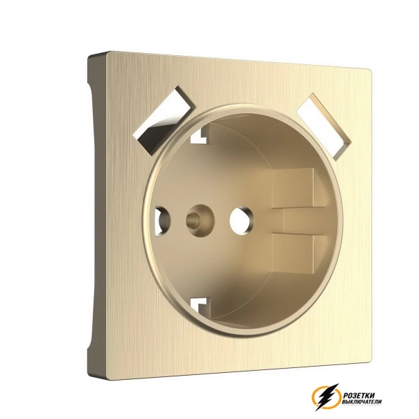 Розетка с USB зарядкой 2 порта А+A 2,1 mA Werkel шампань рифленая