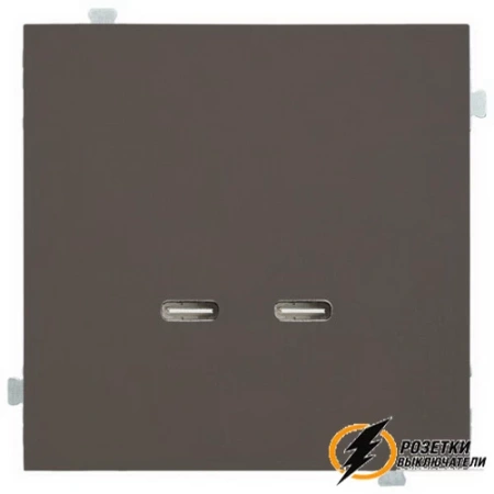 Накладка зарядки USB C+C Rikett капучино