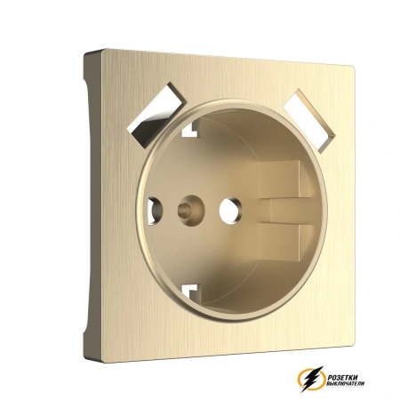 Розетка с USB зарядкой 2 порта А+A 2,1 mA Werkel шампань рифленая
