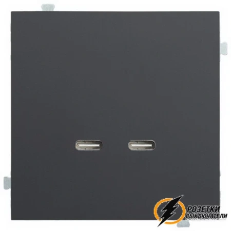 Зарядка USB 2 порта C+C 60Вт Rikett черный сатин