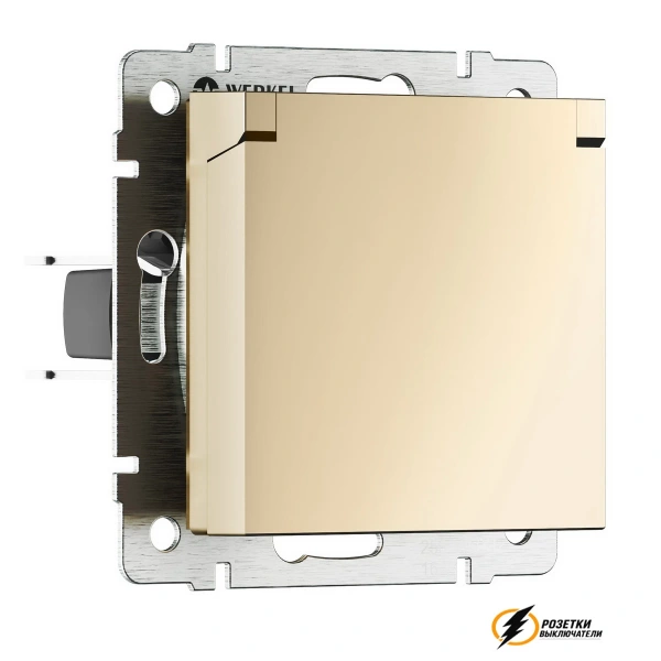 Розетка с крышкой ip40 16а 250в Werkel шампань