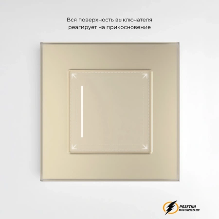 Умный Wi-Fi сенсорный выключатель одноклавишный Werkel шампань
