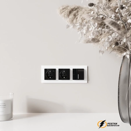 Розетка с USB зарядкой 2 порта А+C 3,0 mA Werkel черная акрил