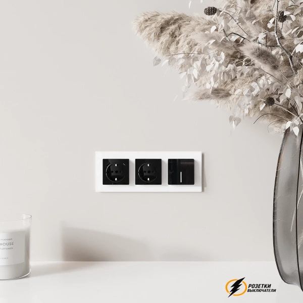 Розетка с USB зарядкой 2 порта А+C 3,0 mA Werkel черная акрил
